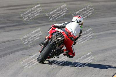 media/Feb-04-2024-SoCal Trackdays (Sun) [[91d6515b1d]]/4-Bowl Backside (11am)/